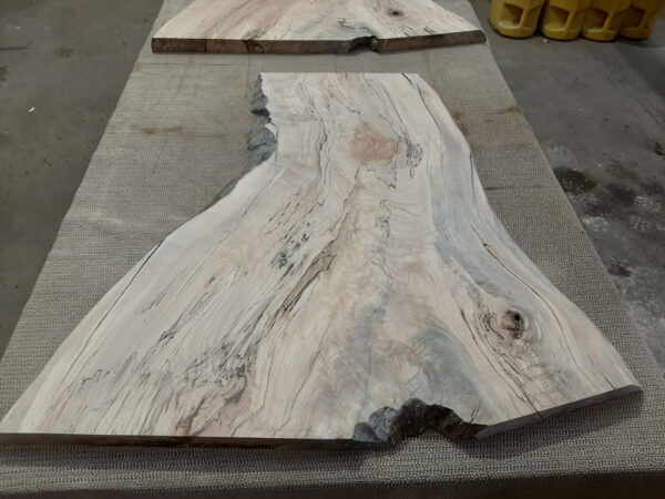 Spalted Maple slab with live edge