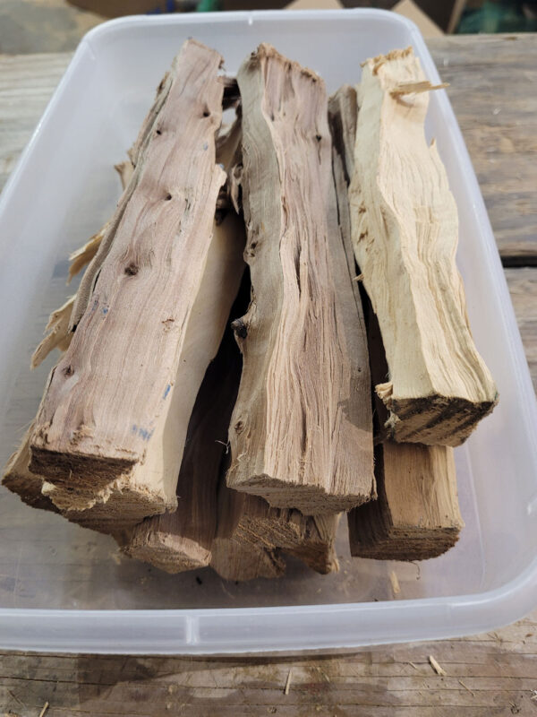 Apple wood barkless splits in a plastic tub.